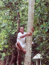 Raghunandan prabhu, the tree climber